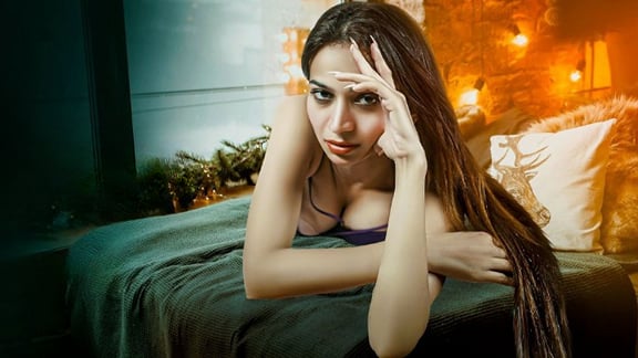 Diary EP1 Hot Hindi PrimeShots Web Series